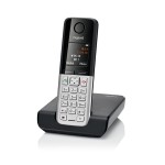 Siemens Gigaset C300